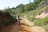 Photo of a cyclist riding a mountain bike along a scenic forest trail under clear skies.