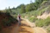 Photo of a cyclist riding a mountain bike along a scenic forest trail under clear skies.