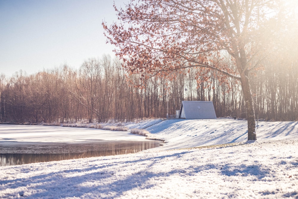 sunrise during winter