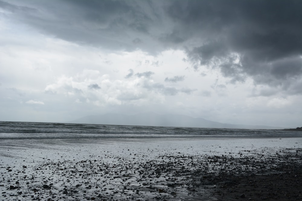 grayscale photo of seashore