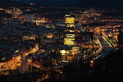 bird's eye view of buildings during nighttime