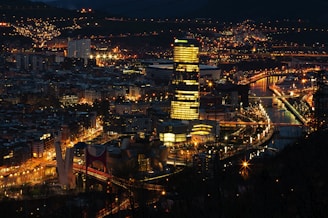bird's eye view of buildings during nighttime