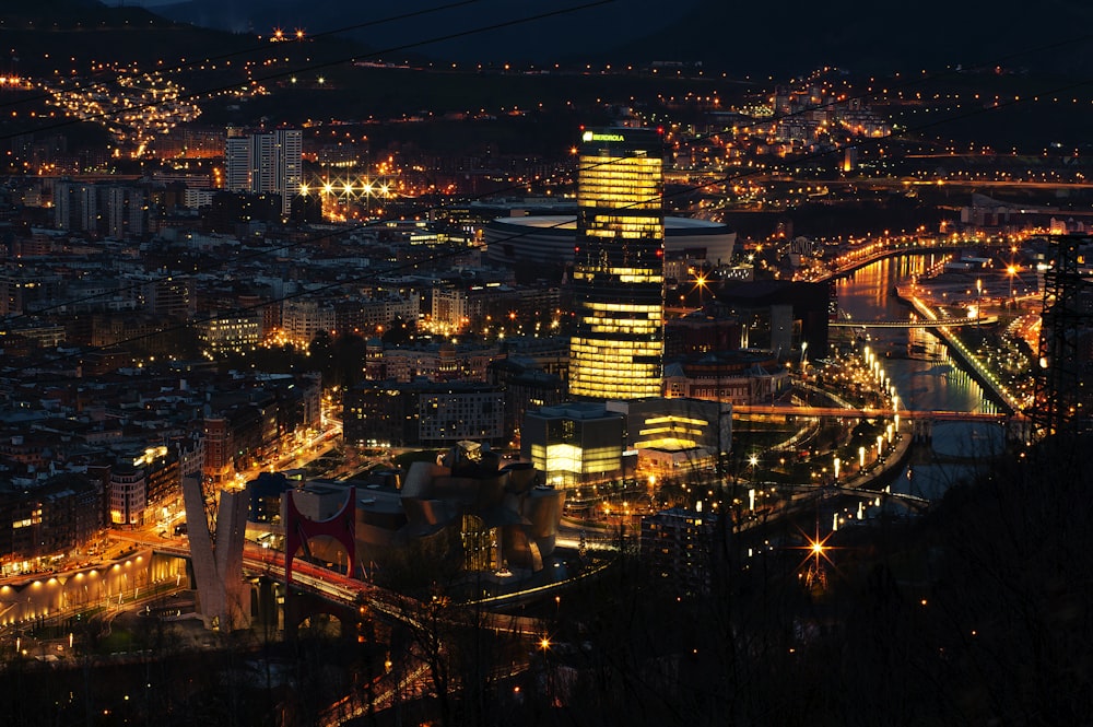 bird's eye view of buildings during nighttime