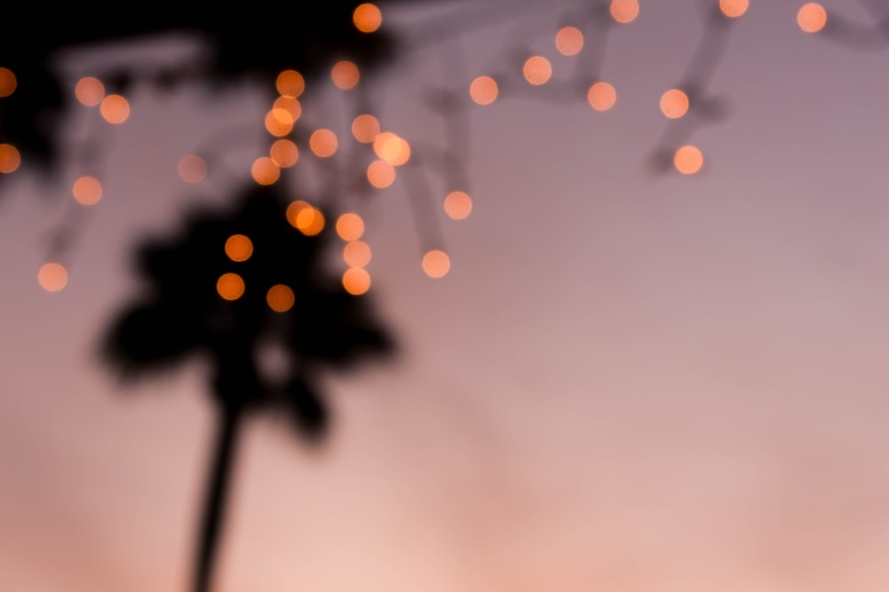 Orangefarbene Bokeh-Fotografie