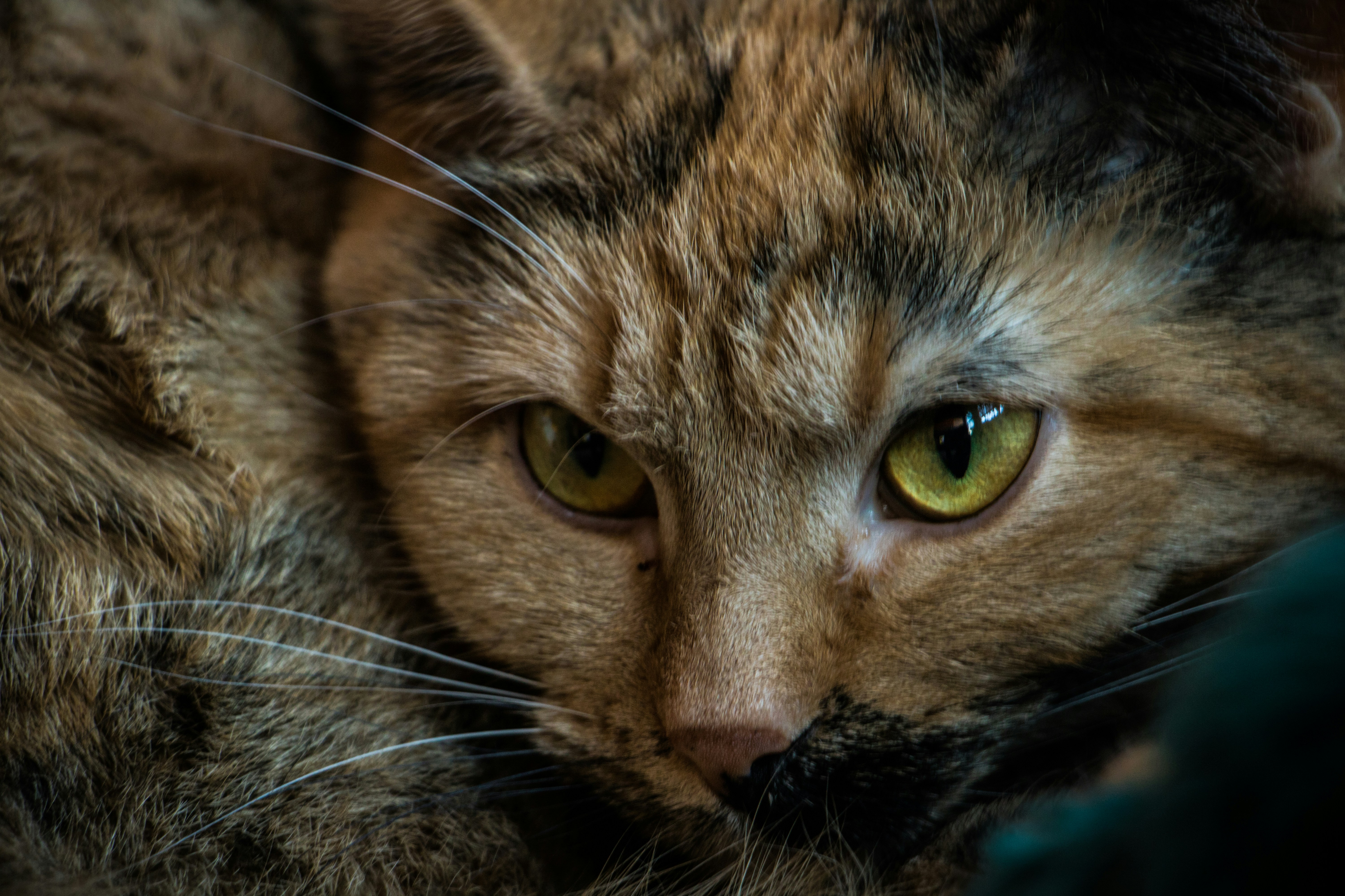 photo-1514576356994-495e945e70d4?ixlib=rb-1.2.1&ixid=eyJhcHBfaWQiOjEyMDd9&auto=format&fit=crop&w=1500&q=80