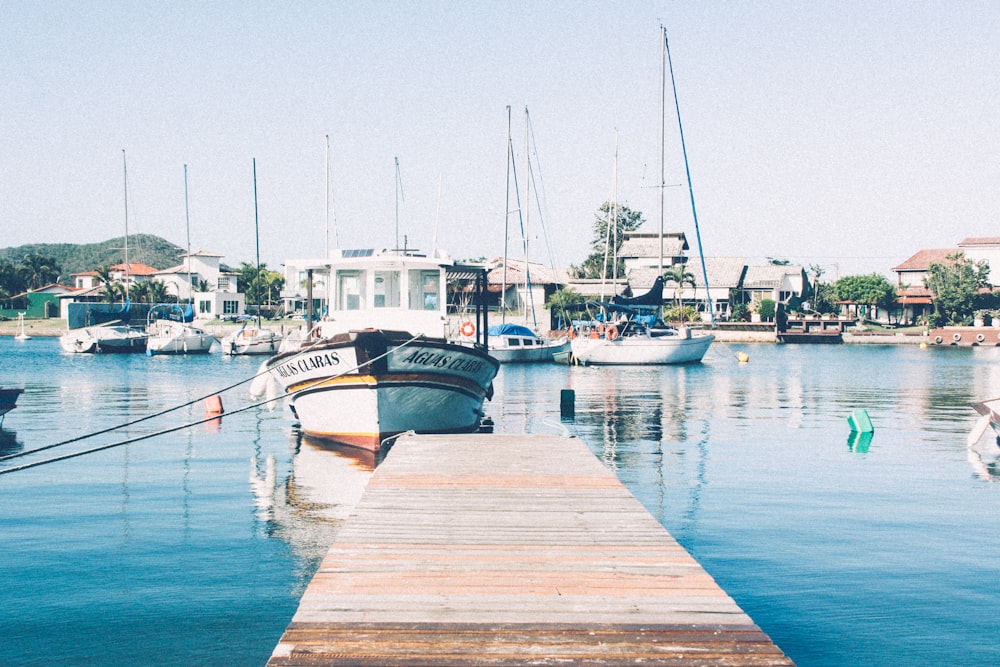 white motorboat near dock