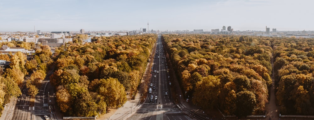 Carretera gris rodeada de árboles durante el día en la fotografía de vista aérea