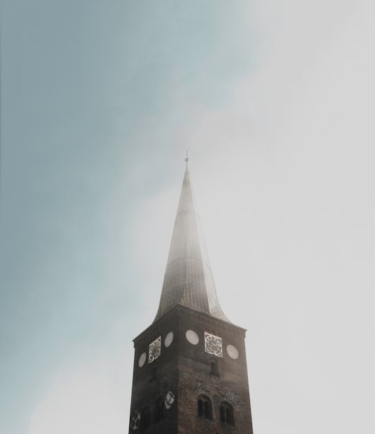 worm's-eye view photography of brown concrete building during daytime in Aarhus Cathedral Denmark