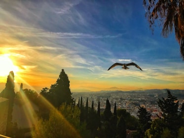 A serene landscape of a city skyline at sunset, symbolizing growth and opportunity.