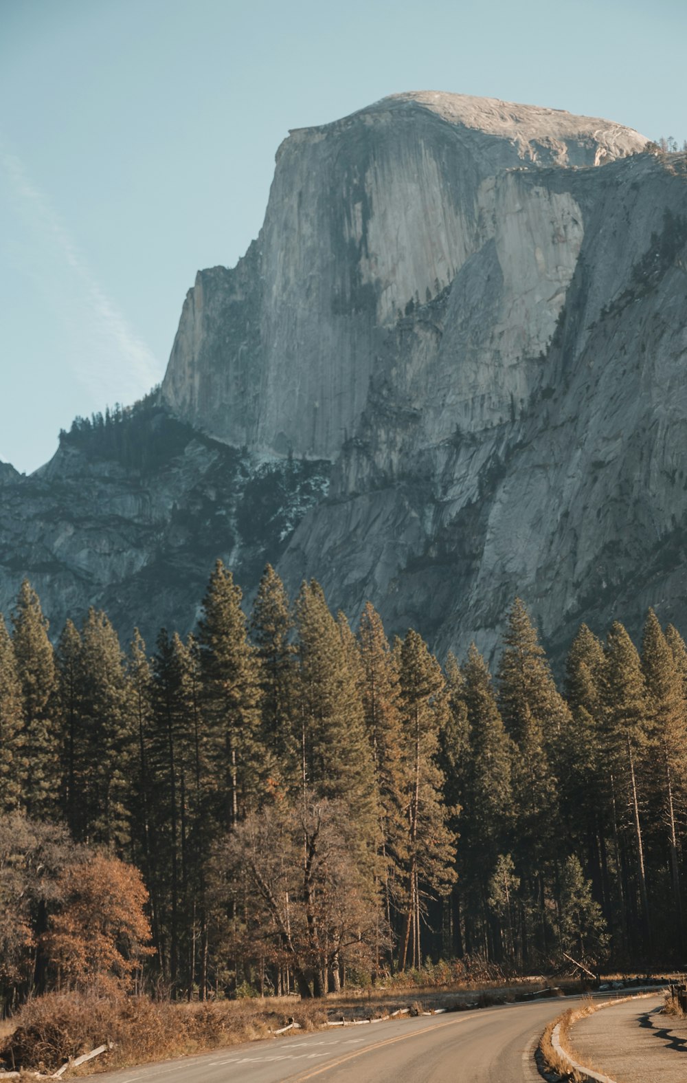 brown trees at the foot of the mountain