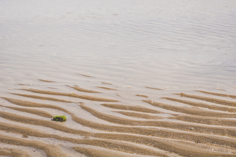 a green ball sitting on top of a sandy beach