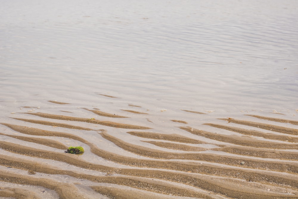 uma bola verde sentada em cima de uma praia de areia
