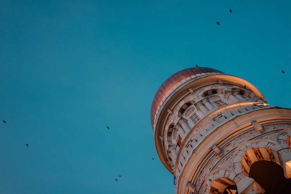 low angle photography of building