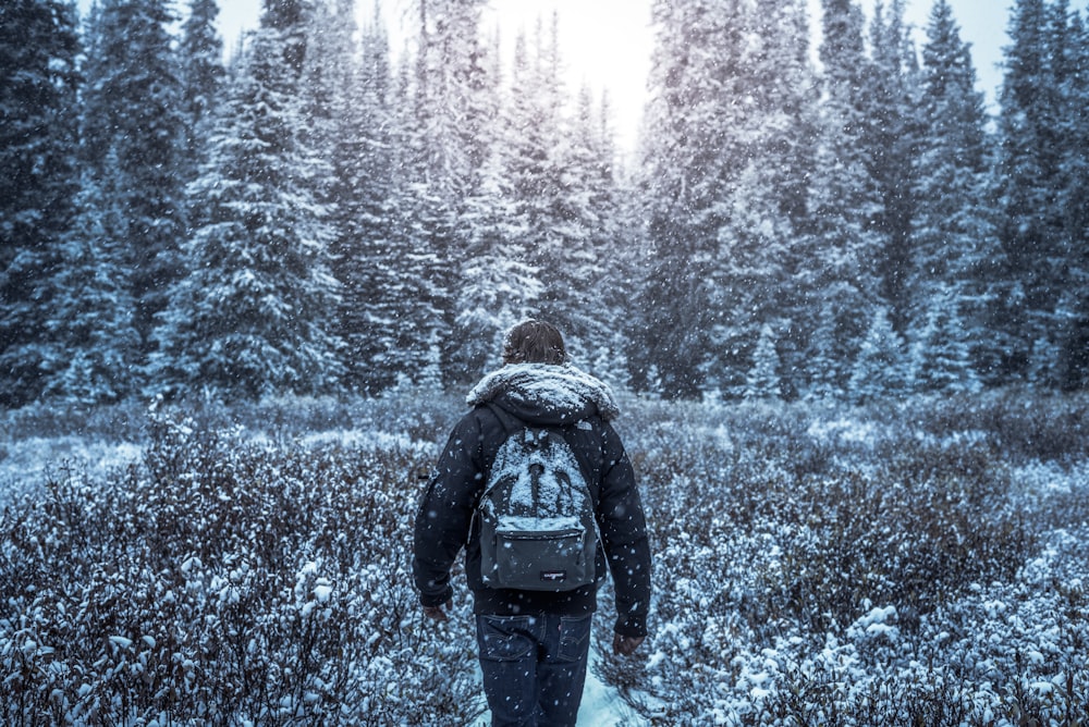 person walking between trees covered with snow during daytime