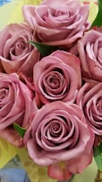 A beautiful bouquet of pink roses symbolizing love and connection.