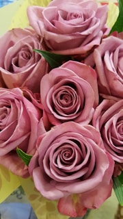 A beautiful bouquet of pink roses symbolizing love and connection.