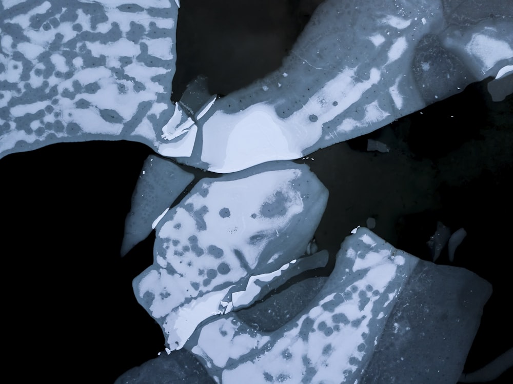 氷と水の白黒写真