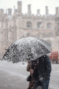 person holding black umbrella