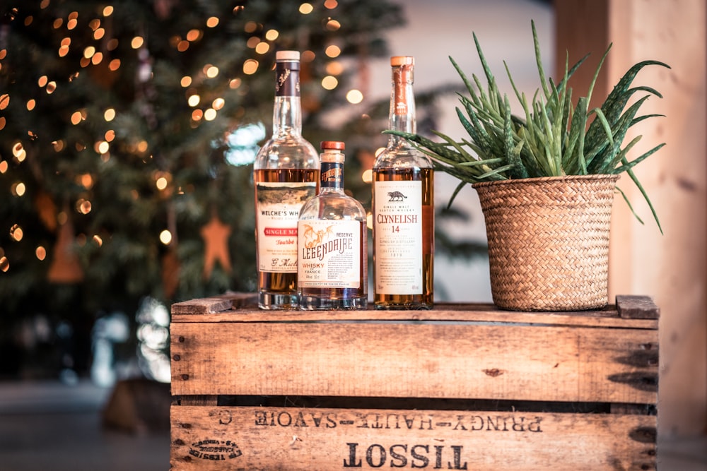 three wine bottle beside pot with plant on wooden box