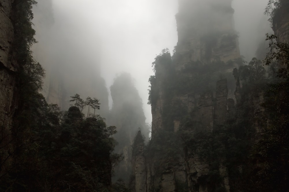 montagnes couvertes de brouillard par temps nuageux