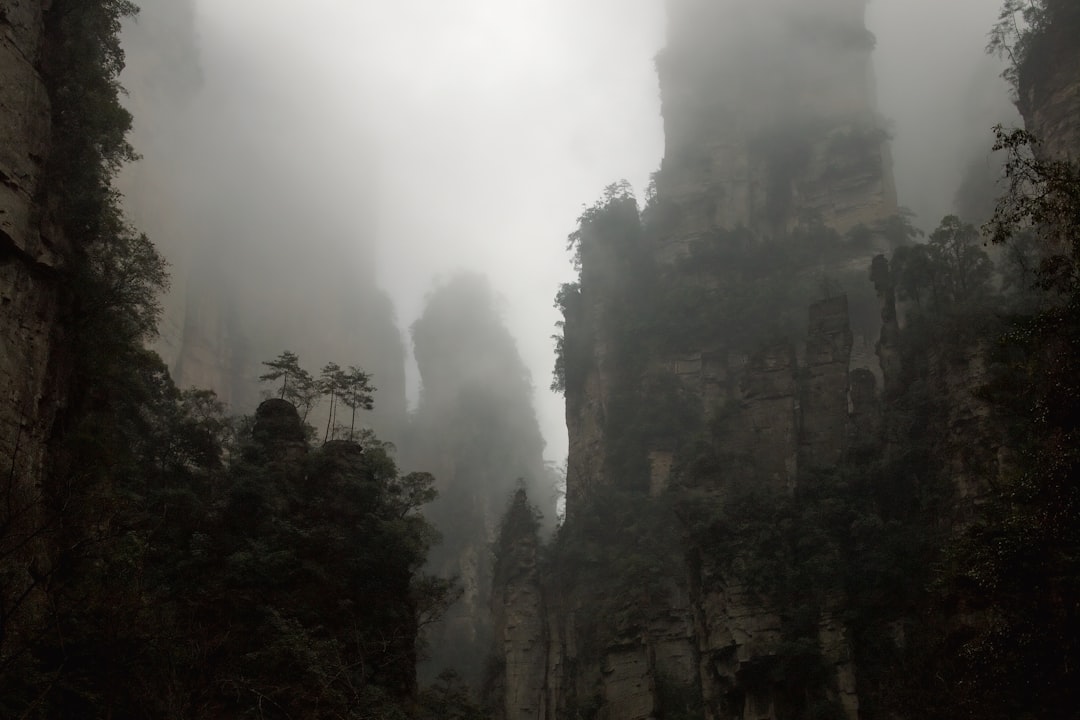 Karst formations rising from subtropical forest in Zhangjiajie, showing the geological features that define both Tianmen Mountain and Avatar Mountains areas