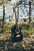 A black acoustic guitar stands upright in a natural outdoor setting, surrounded by greenery and foliage. In the background, palm trees and a modern building with glass windows are visible.