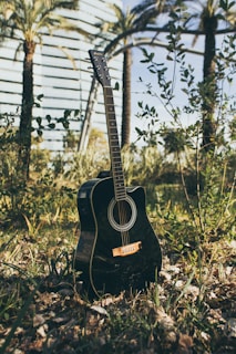 A black acoustic guitar stands upright in a natural outdoor setting, surrounded by greenery and foliage. In the background, palm trees and a modern building with glass windows are visible.