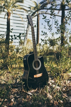 A black acoustic guitar stands upright in a natural outdoor setting, surrounded by greenery and foliage. In the background, palm trees and a modern building with glass windows are visible.