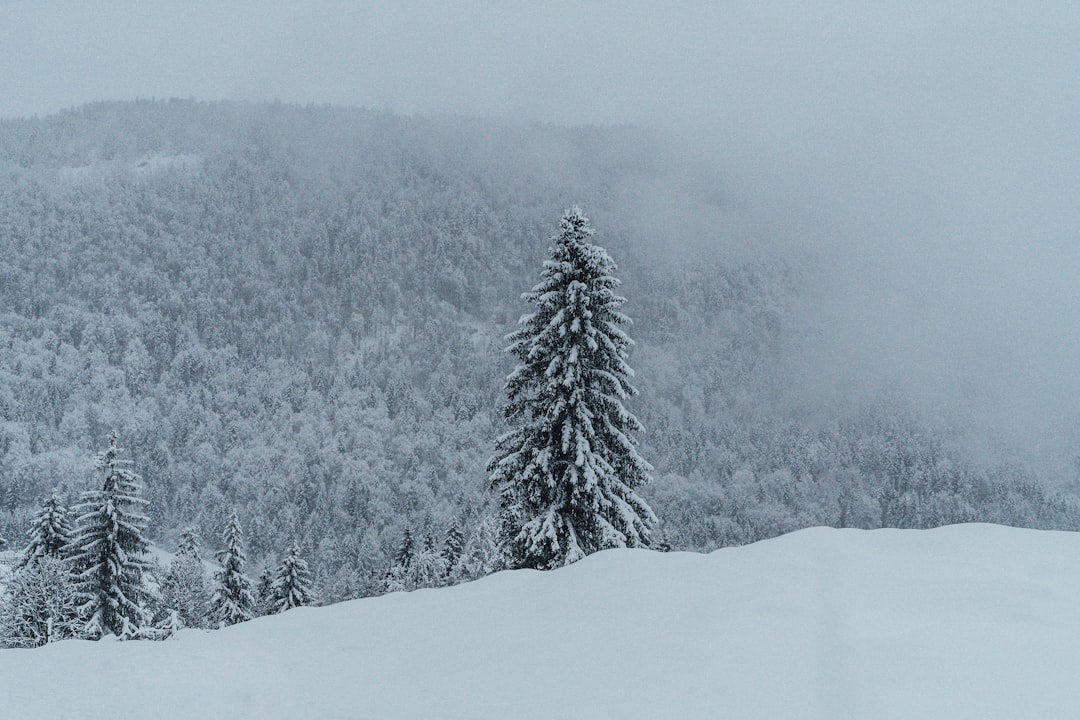 Highland photo spot Airfield St. Johann in Tirol Unkenberg