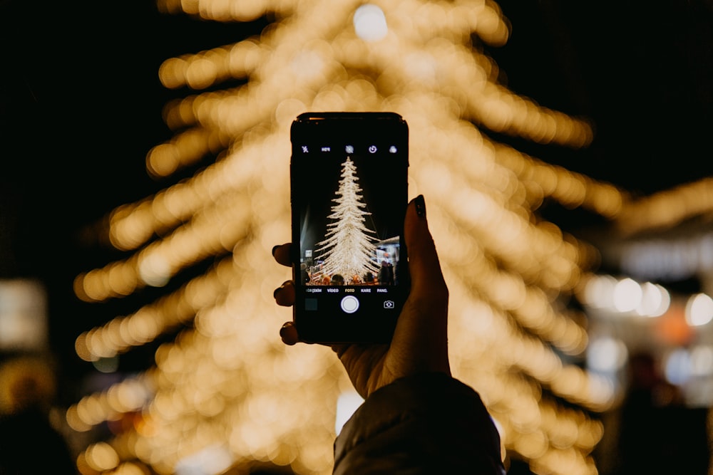 person taking photo of tree