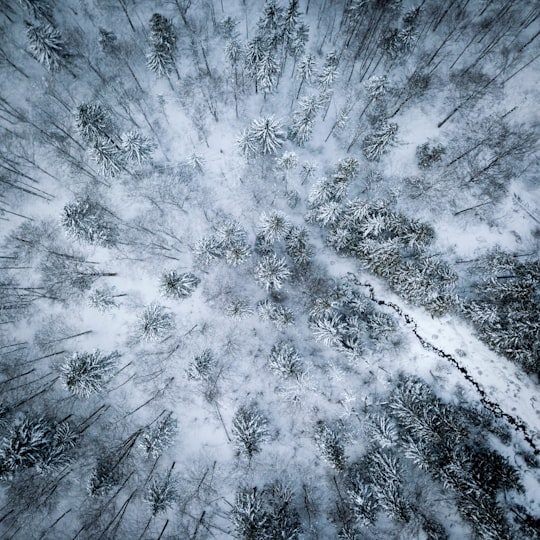 aerial view photography of forest cover with snow in Almsee Austria