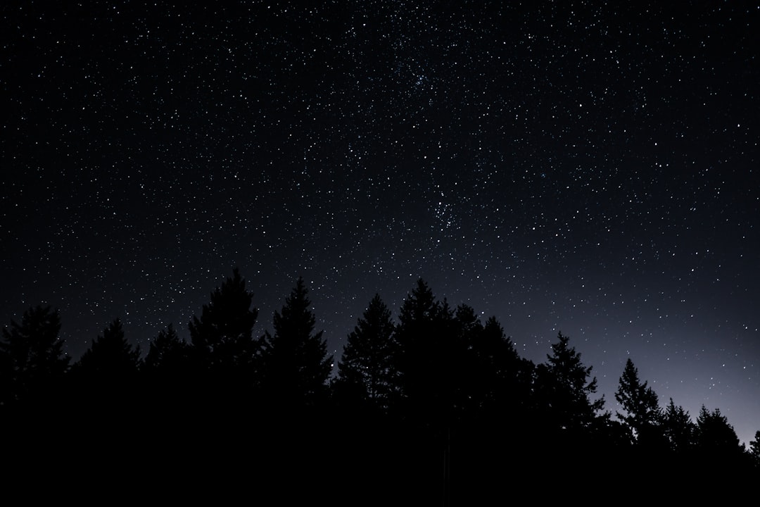 silhouette of trees, Oregon Sky