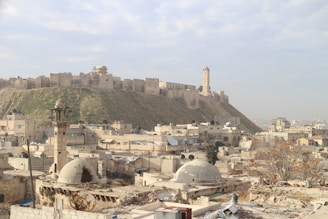 An ancient citadel sits atop a grassy hill, surrounded by a fortified wall. Below, a historic cityscape features old stone buildings, domed rooftops, and a tall minaret. The sky is mostly clear with a few clouds.
