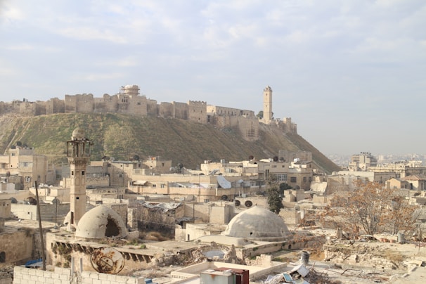 An ancient citadel sits atop a grassy hill, surrounded by a fortified wall. Below, a historic cityscape features old stone buildings, domed rooftops, and a tall minaret. The sky is mostly clear with a few clouds.