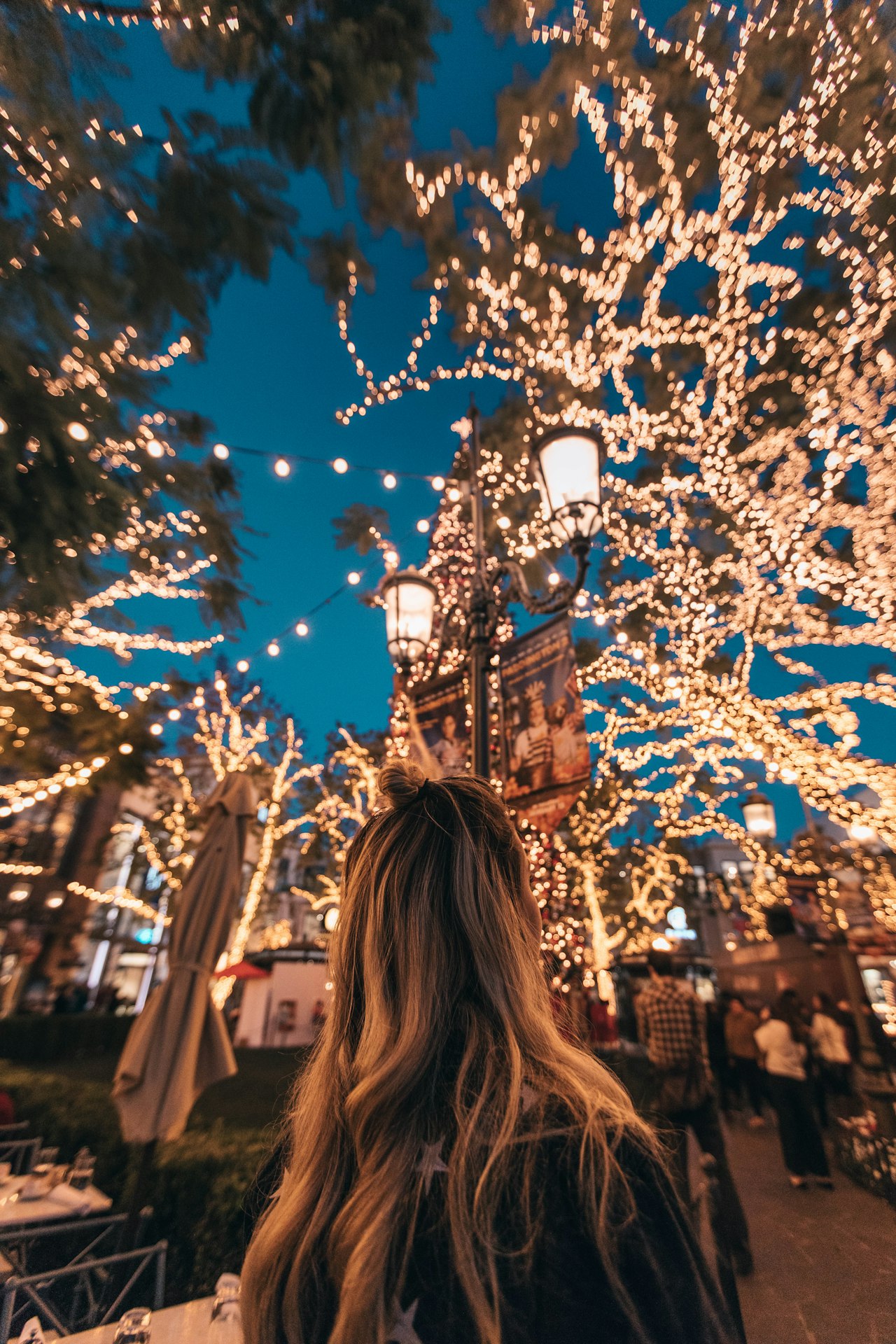 Dazzling Holiday Lights in San Diego