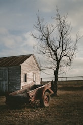 wagon near wooden house and bare tree