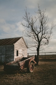 wagon near wooden house and bare tree