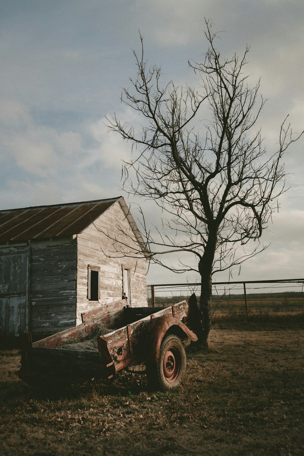 wagon near wooden house and bare tree