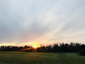 A serene sunset shot captured by a drone flying above trees and fields.