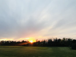 A serene sunset shot captured by a drone flying above trees and fields.