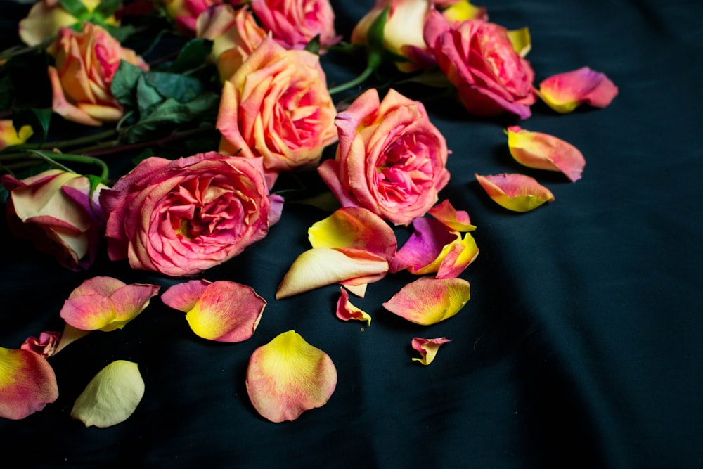 pink flowers on black cloth