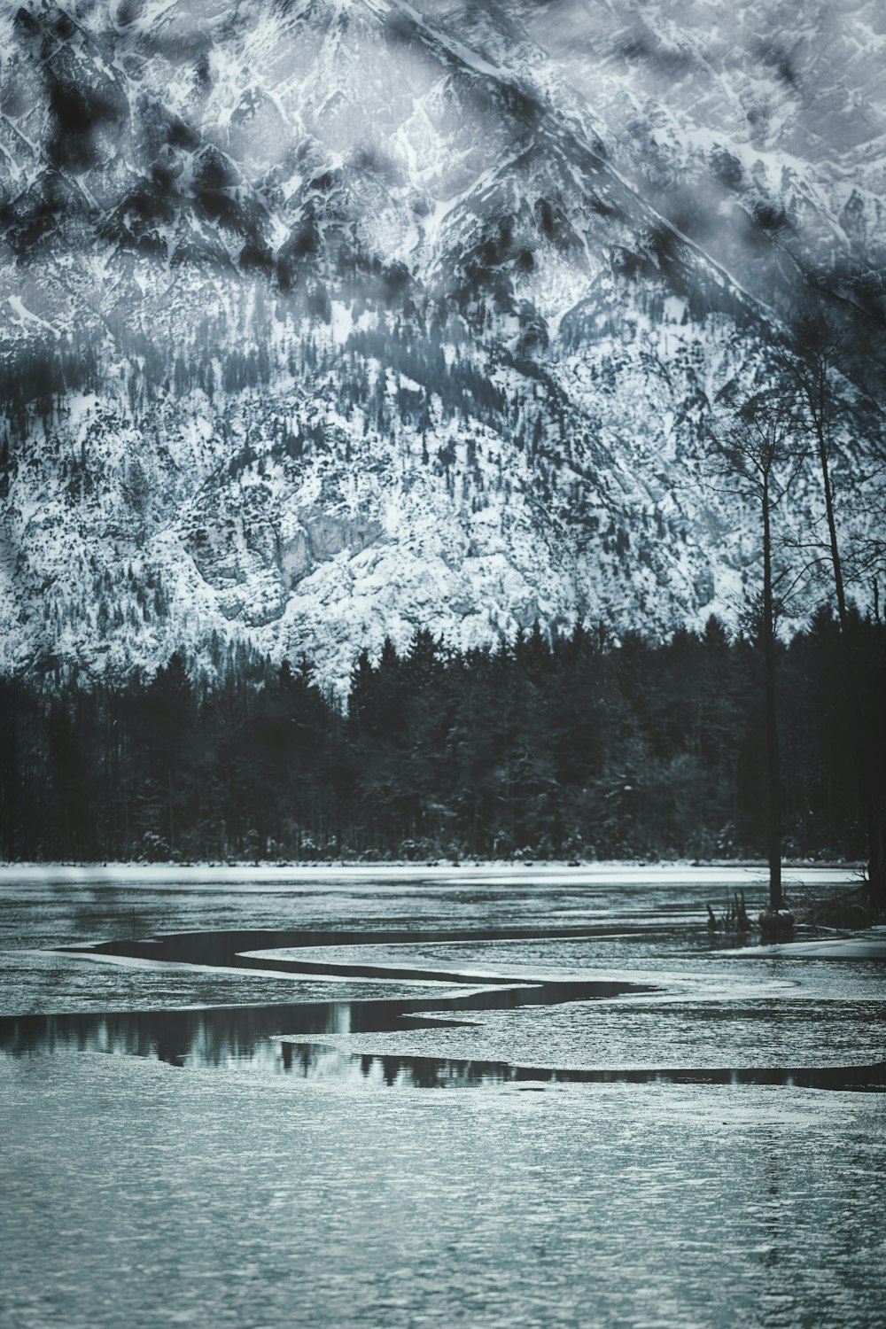 lake and trees during winter with glacier mountains at the distance