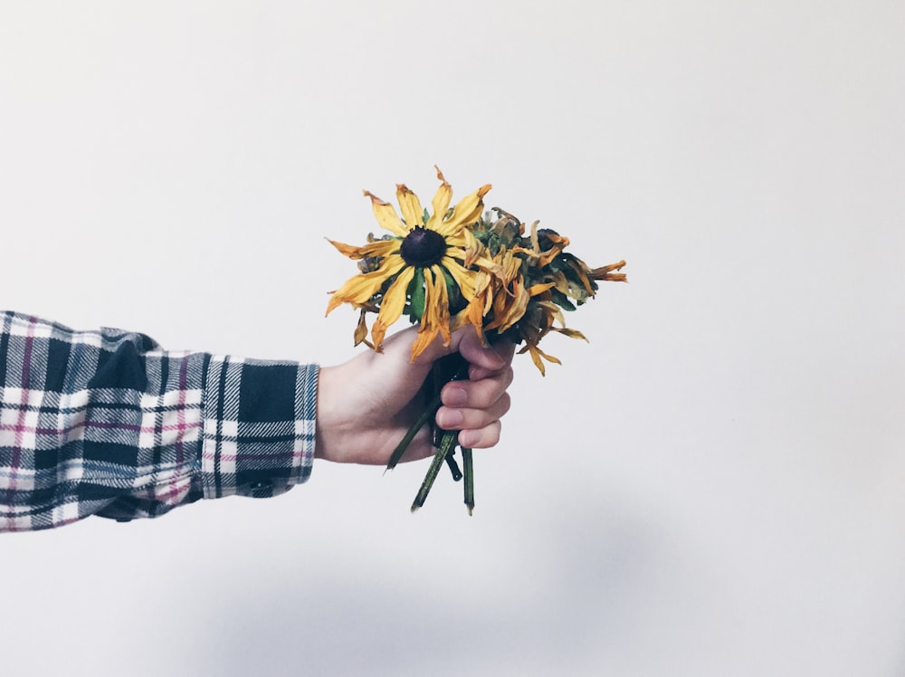 person holding withered bouquet of flowers