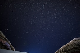 A serene image of a person consulting astrological charts under a starlit sky.
