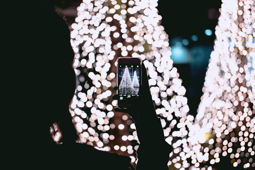person taking picture of Christmas trees