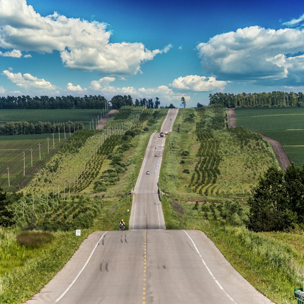 long road in between bushes