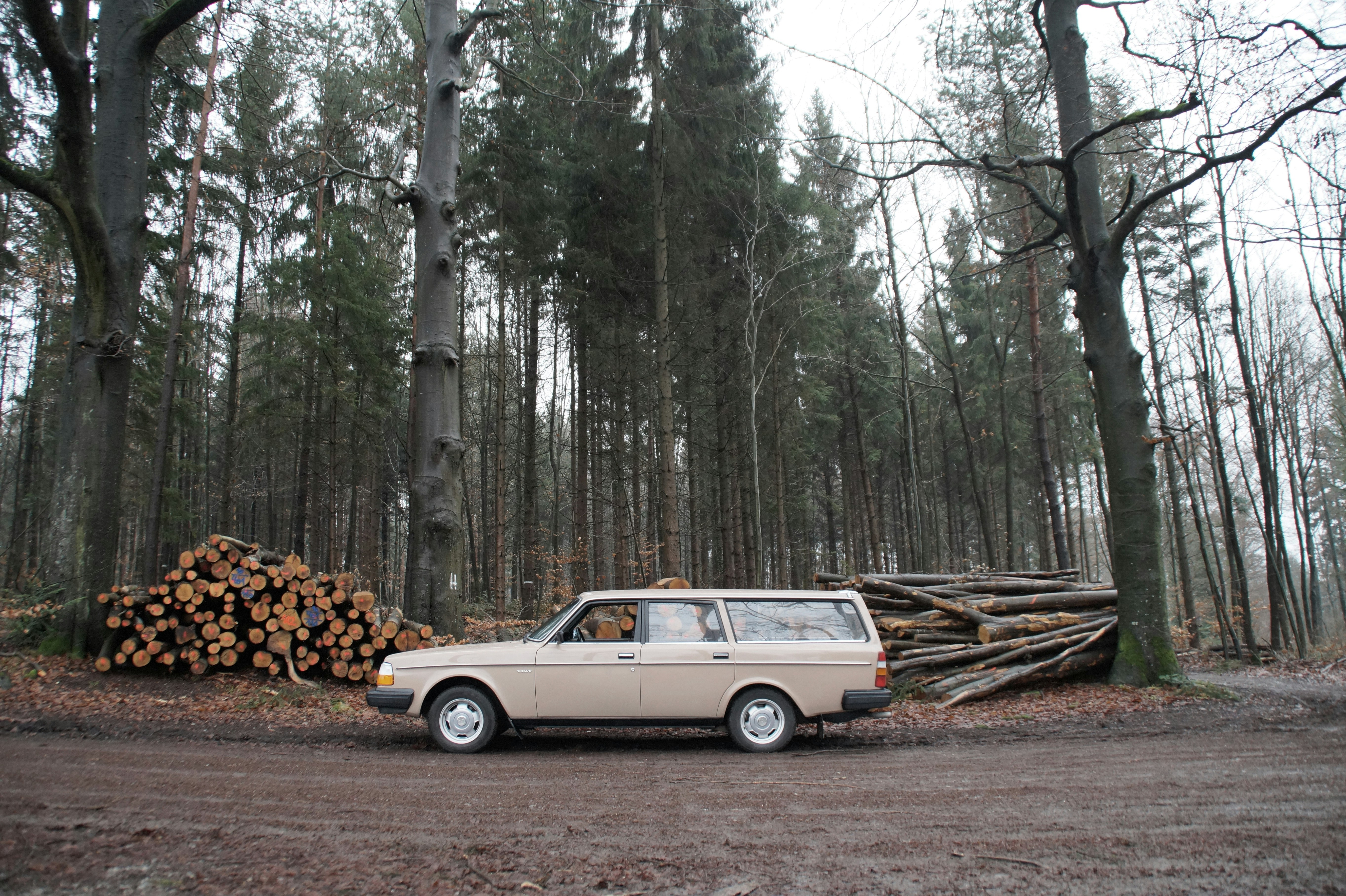 Volvo in the woods, Vintage Volvo 240 in perfect condition in the color 