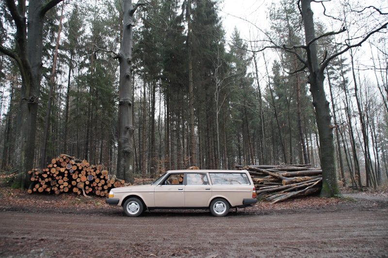 1965 Volvo PV544