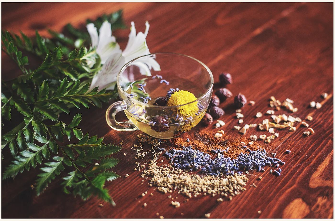 Herbes naturelles et tisane