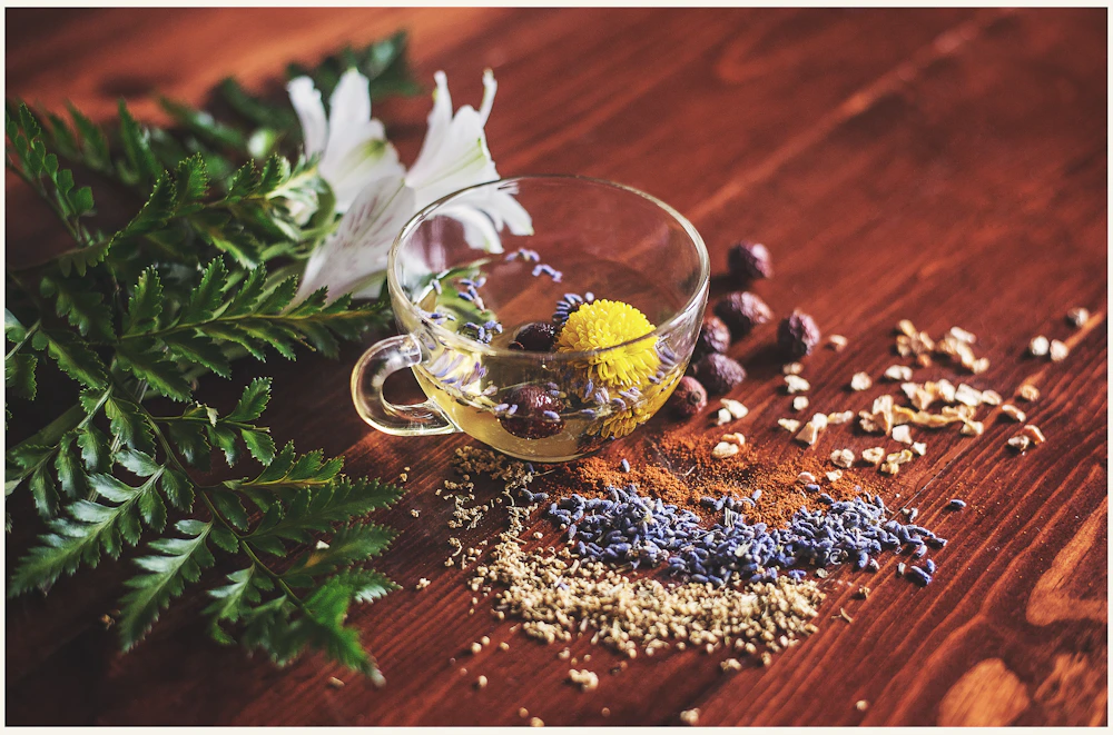 Medicina natural y plantas medicinales